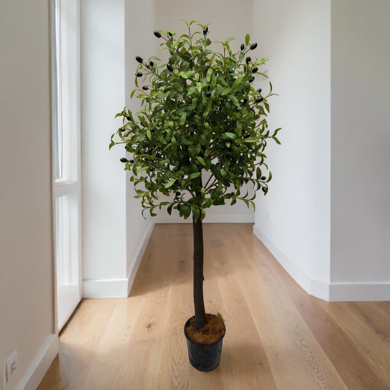 Tree's