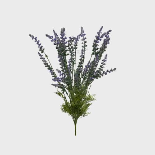 Lavender Collection Image