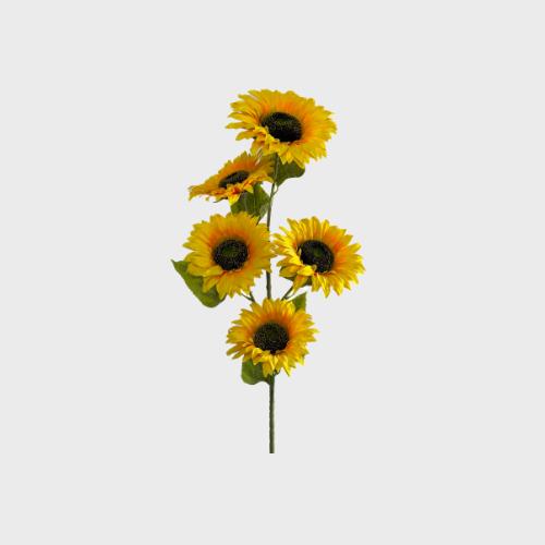 Sunflowers Collection Image