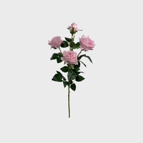 Roses Collection Image