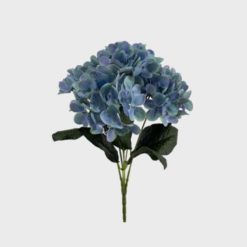 Hydrangea Collection Image