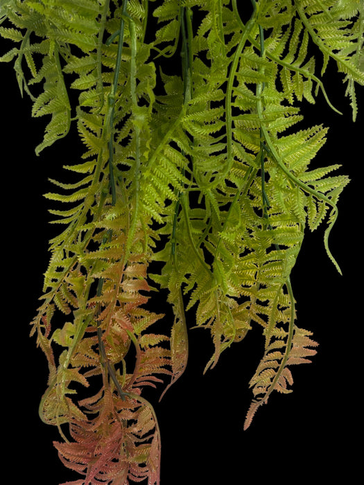 Trailing Fern (Boston / Sword Fern style)