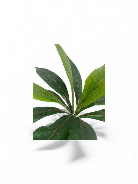 Artificial Dracaena-Style