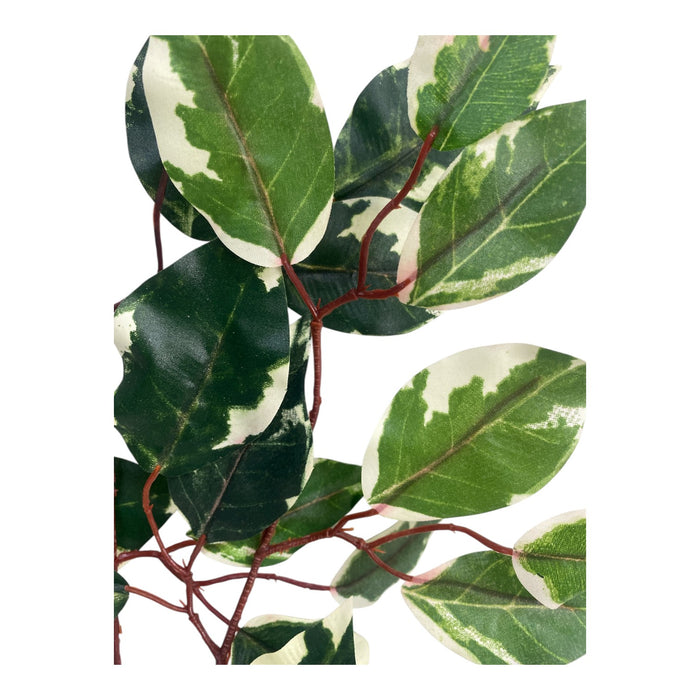 Artificial Variegated Ficus Leaf Spray