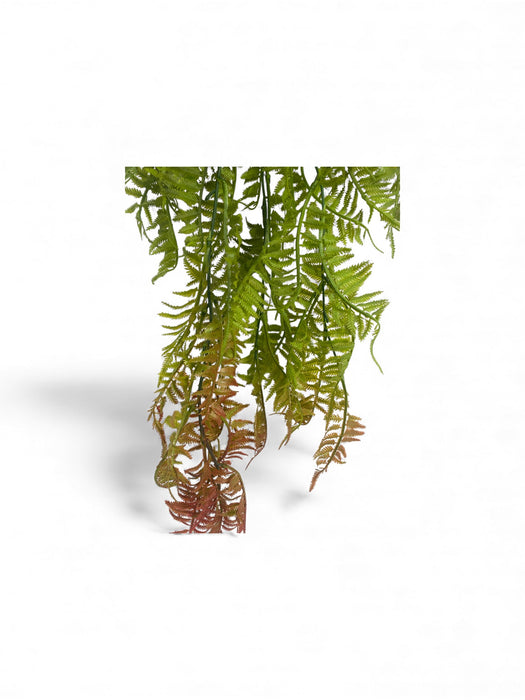 Trailing Fern (Boston / Sword Fern style)