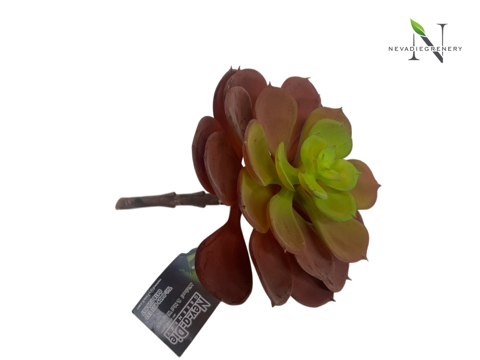 Faux Echeveria Succulent