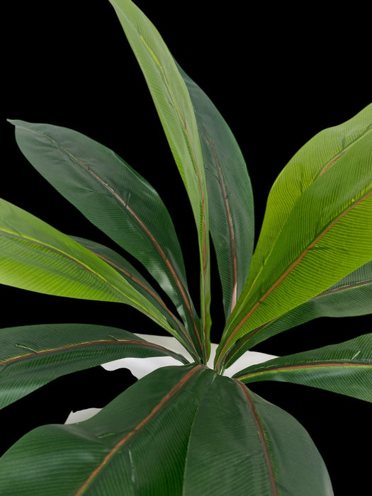 Artificial Dracaena-Style