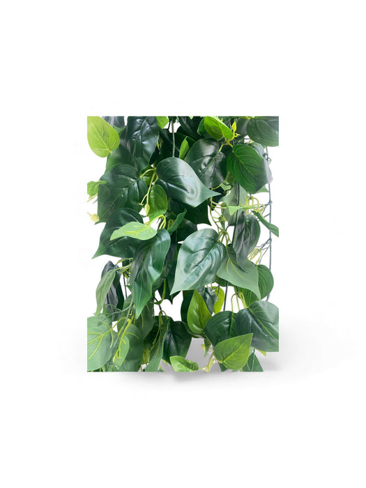Artificial Trailing Philo Vine – Dark Green