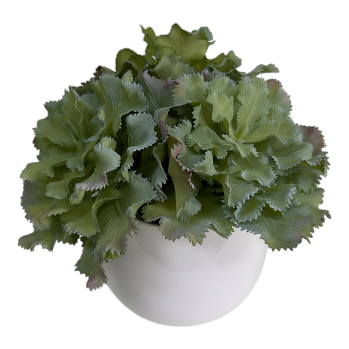 Artificial Blue-Green Frilly Succulent in White Ball Pot