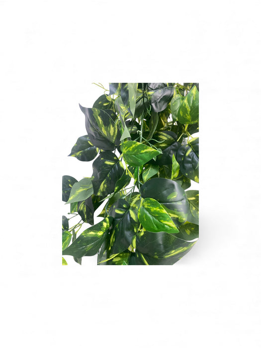 Artificial Trailing Pothos Vine – Deep Green and Yellow