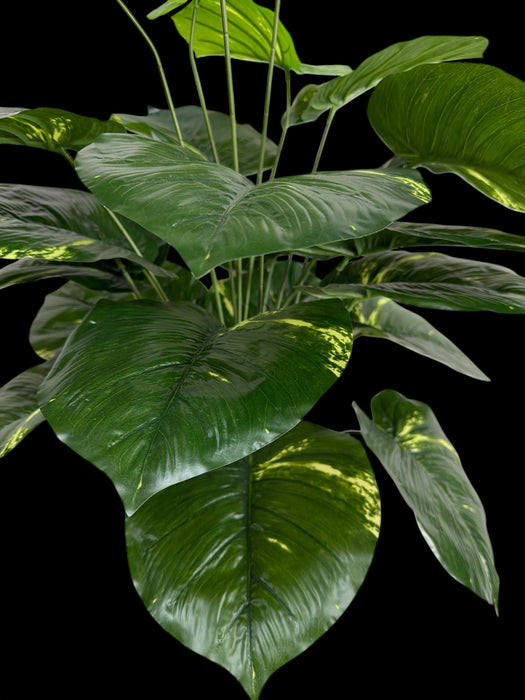 Artificial Elephant Ear Plant in Black Ball Pot