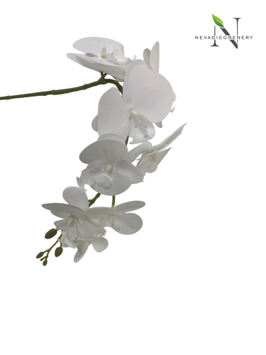 White Artificial Phalaenopsis Orchid Stem