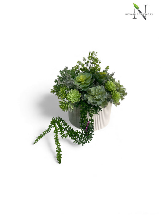 Succulent Arrangement