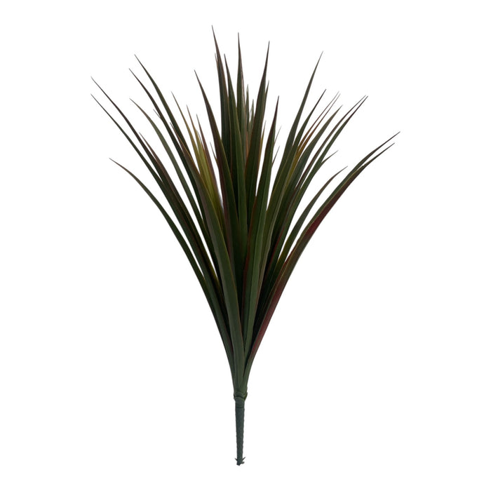 Yucca head