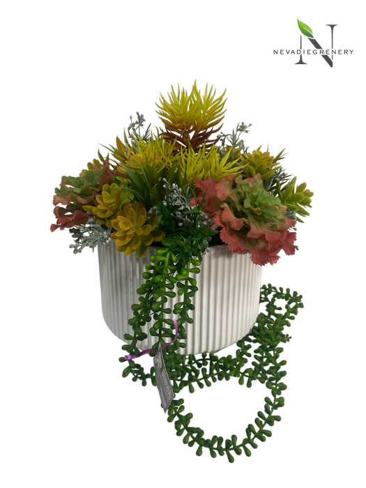 Succulent Arrangement