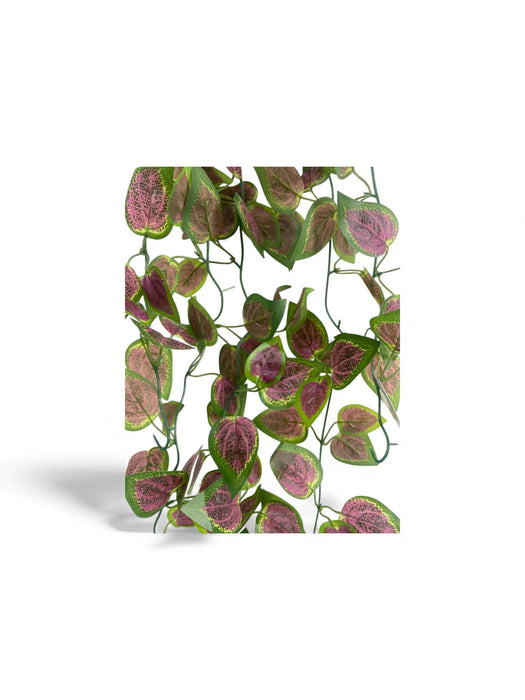 Artificial Hanging Fittonia Vine