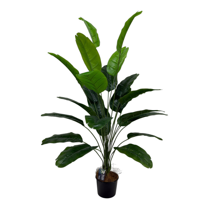 Artificial Bird of Paradise in Black Pot