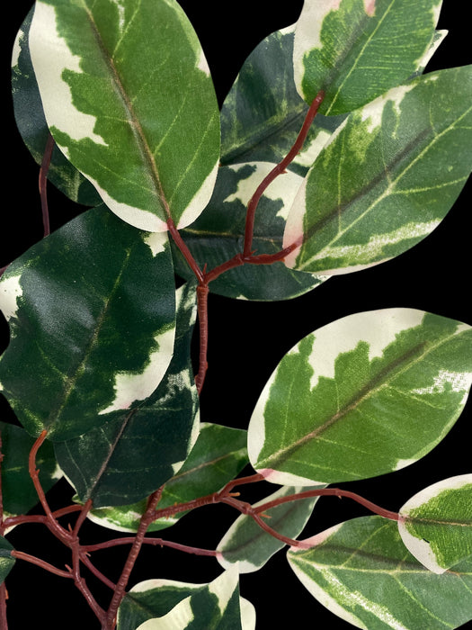 Artificial Variegated Ficus Leaf Spray