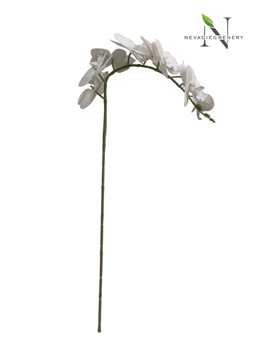 White Artificial Phalaenopsis Orchid Stem