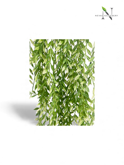 Trailing Willow Leaf Foliage