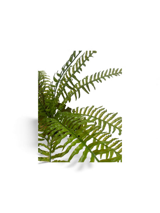 Artificial Hanging Fern Plant