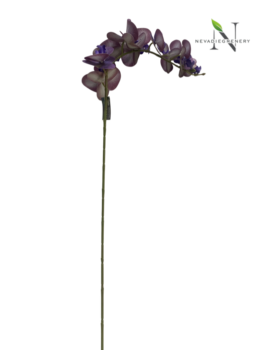 Artificial Purple Phalaenopsis Orchid Stem