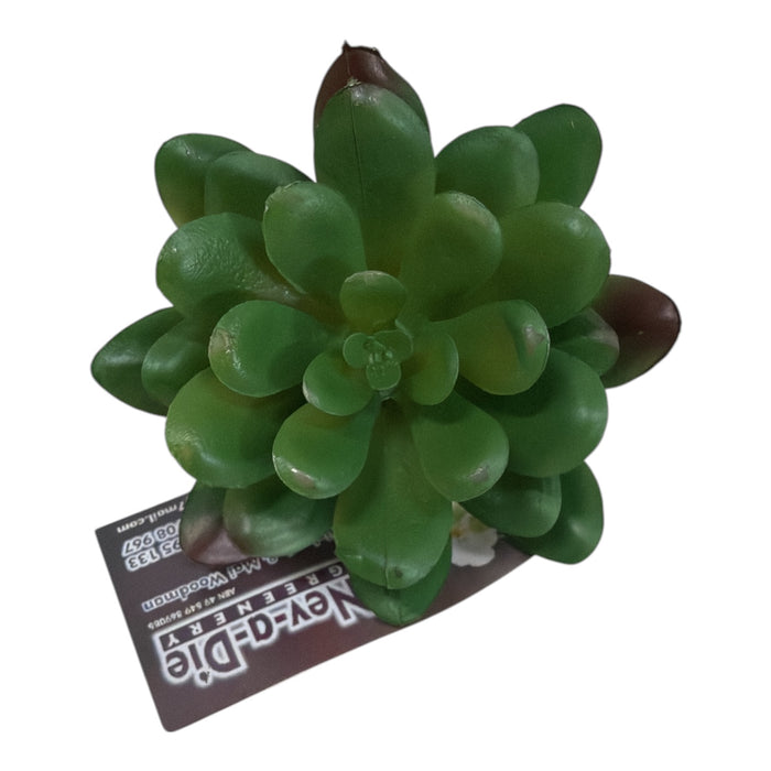 Artificial Green Echeveria Succulent