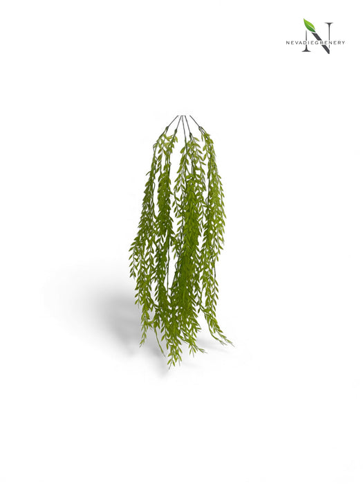 Trailing Willow Leaf Foliage