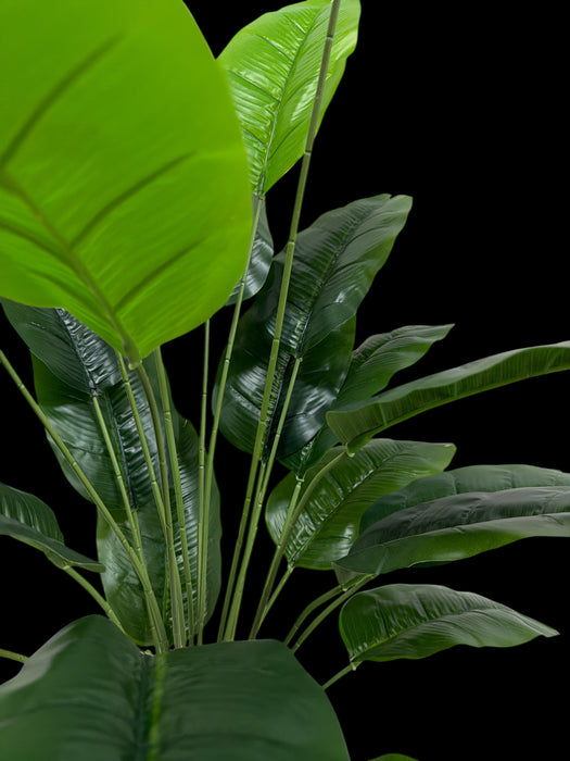 Artificial Bird of Paradise in Black Pot