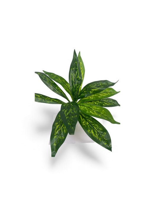 Artificial Dieffenbachia (Dumb Cane)