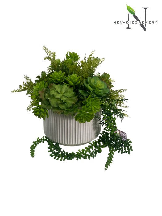 Succulent Arrangement
