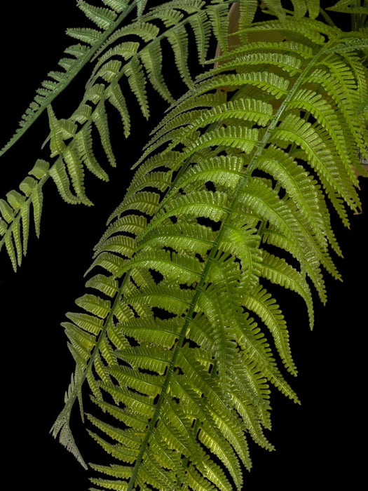 Artificial Boston Fern Hanging Plant