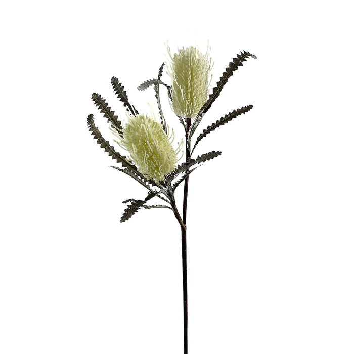 Artificial Banksia Spray Cream