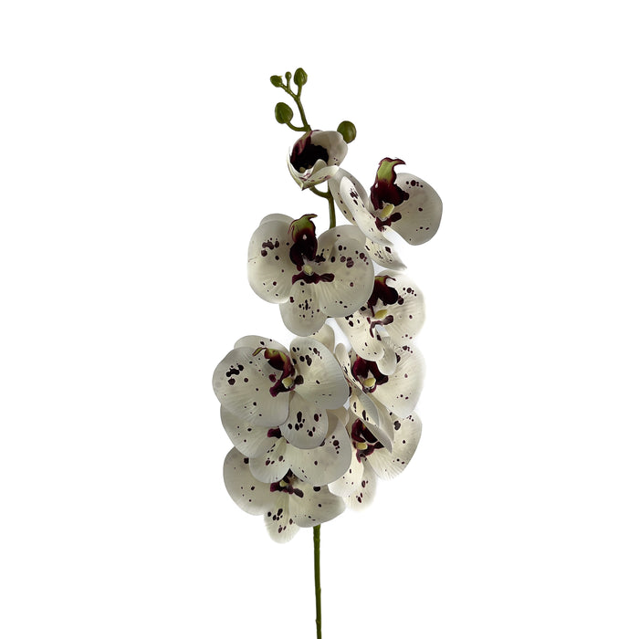 Artificial Phalaenopsis Orchid White/Purple Spots