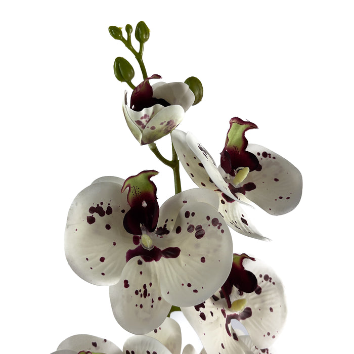Artificial Phalaenopsis Orchid White/Purple Spots