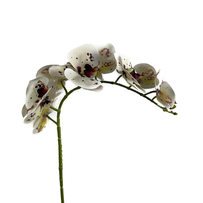 Artificial Phalaenopsis Orchid White/Purple Spots