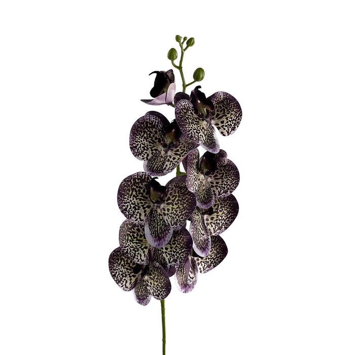 Artificial Phalaenopsis Orchid Purple