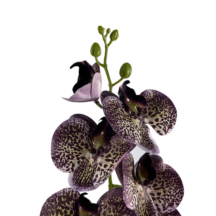 Artificial Phalaenopsis Orchid Purple