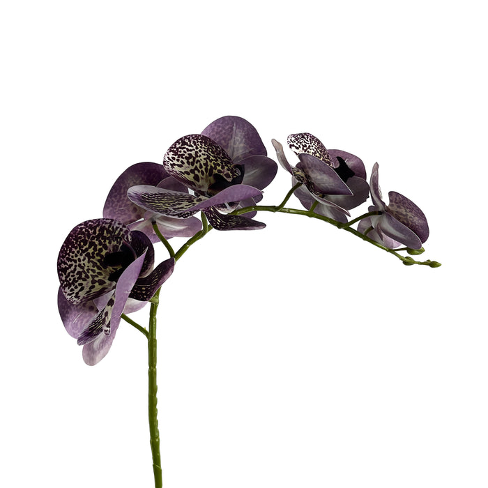 Artificial Phalaenopsis Orchid Purple