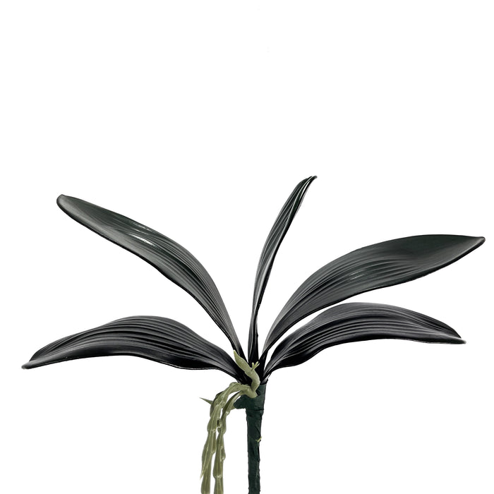 Artificial Phalaenopsis Orchid Leaves Dark Green