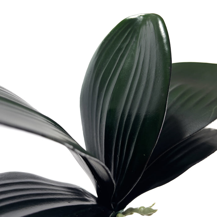Artificial Phalaenopsis Orchid Leaves Dark Green