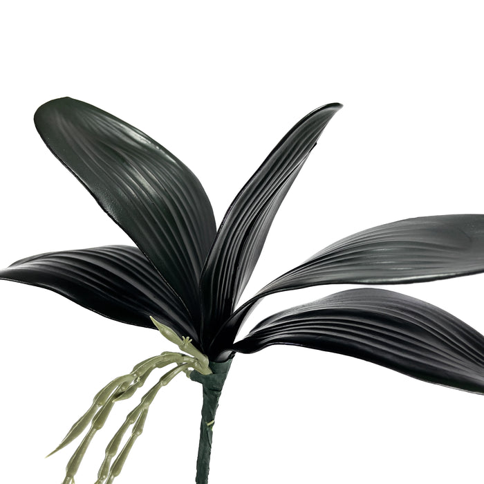 Artificial Phalaenopsis Orchid Leaves Dark Green