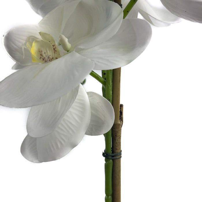 Artificial DIY Phalaenopsis Orchid Kit White