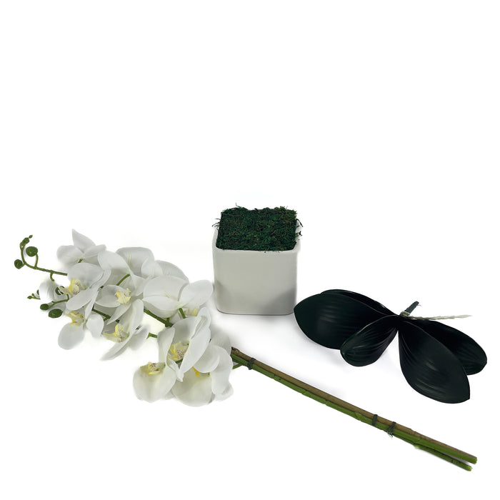 Artificial DIY Phalaenopsis Orchid Kit White