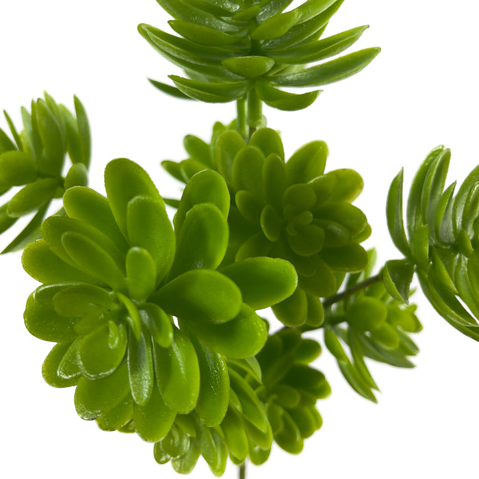 Artificial Echeveria Succulents Green