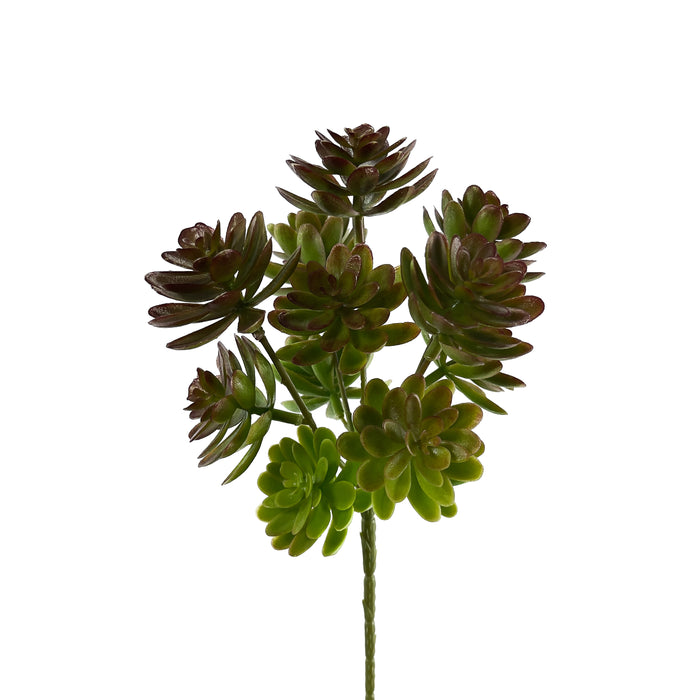 Artificial Echeveria Succulents Green/Brown