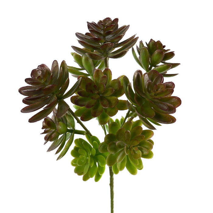 Artificial Echeveria Succulents Green/Brown