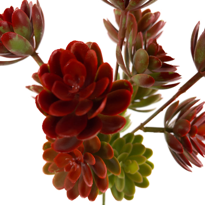 Artificial Echeveria Succulents Green/Red