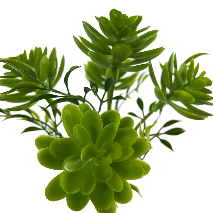Artificial Echeveria Succulents Green