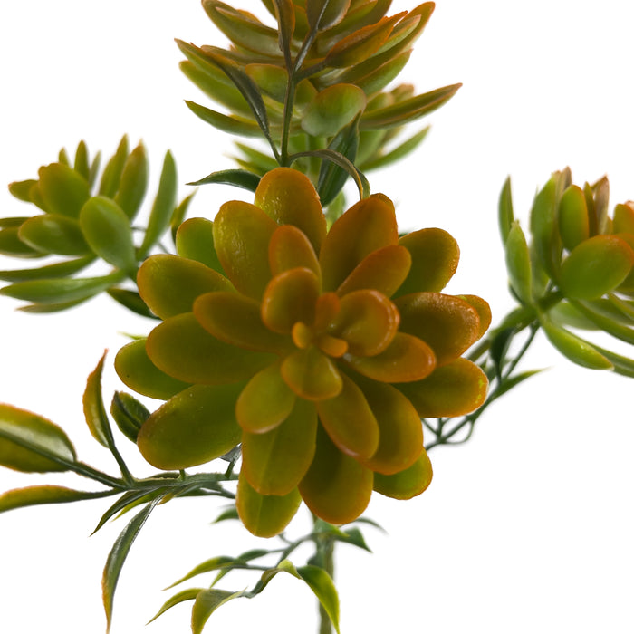 Artificial Echeveria Succulents Green/Orange